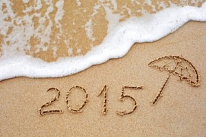 Nový rok 2015