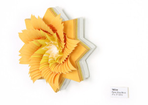 3D oranžová květina